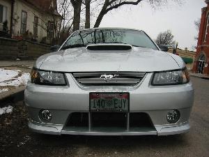 stang front.jpg